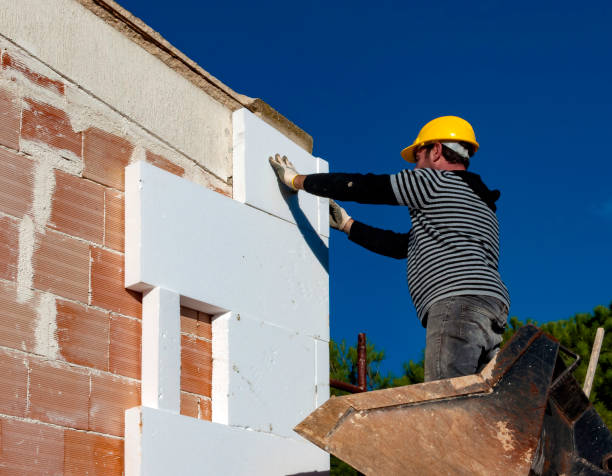 Best Insulation Removal  in Rosedale, CA